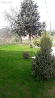 Villa RelaX - Omorani - 3