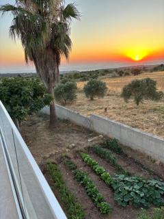 Villa Phos - Kathikas - 9