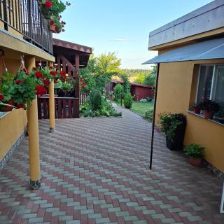 Casa dina - 4