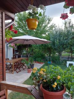 Vila "Livia" - Techirghiol - 1