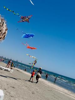 Beach Apartment by Mamaia Nord - 4