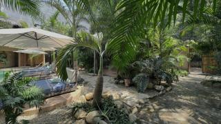 Hotel Gallo de Mar - 8