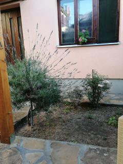 Apartman Kutak - Pirot - 6
