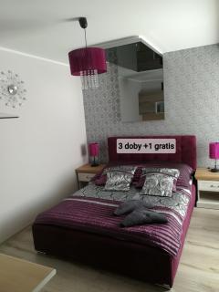 Apartamenty Crystal - Ciechocinek - 9