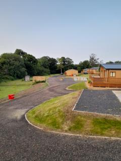 19 Carter's Paddock - - 2