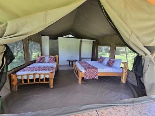 Wild Nest Mara camp - Masai Mara - 0