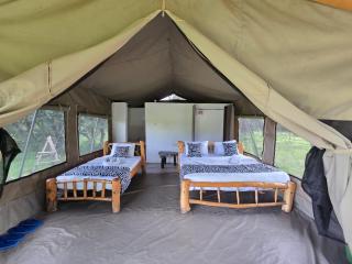 Wild Nest Mara camp - Masai Mara - 9