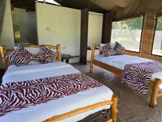 Wild Nest Mara camp - Masai Mara - 5