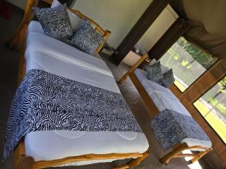 Wild Nest Mara camp - Masai Mara - 4