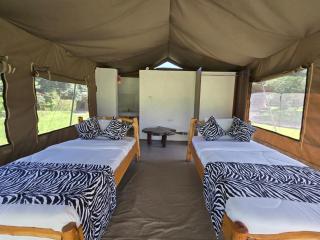 Wild Nest Mara camp - Masai Mara - 1