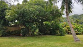 H & L Vairao Lodge - Matura - 1