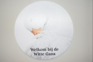 De Witte Gans - Ootmarsum - 6