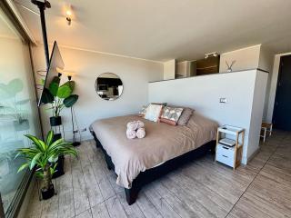 Hermoso y comodo depto Estudio en Montemar - Concón - 5