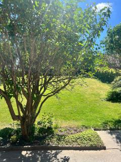 Gemütliches Haus am Ohrberg - 2