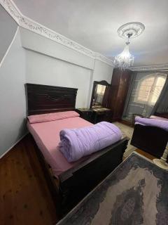 حدايق عباس العقاد - Kairo - 4