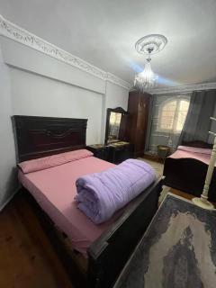 حدايق عباس العقاد - 1