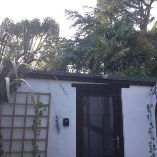Jungle Lodge - Rustington - 9
