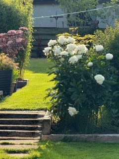 The Wee Lodge - Inverness - 8
