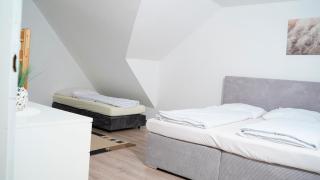 Art Haus Penthouse Winterberg - Winterberg - 7