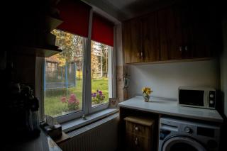 Casa Izvoru Mureșului - Izvoru Mureşului - 9