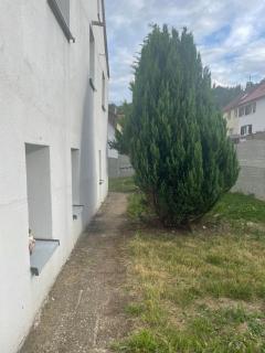 Erdgeschosswohnung mit separatem Eingang - Straßberg - 3
