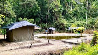 Sefia Cabanas - Kottawa - - 0
