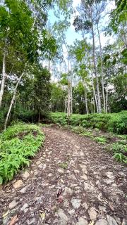 Sefia Cabanas - Kottawa - - 9