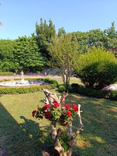 Leisure House Jovovic - Bar - 4