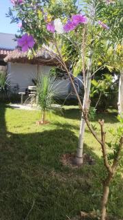 Jardim Secreto - 0
