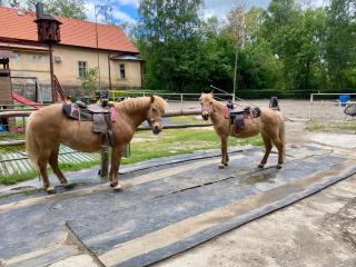 Ubytování na farmě - Kladruby - 8
