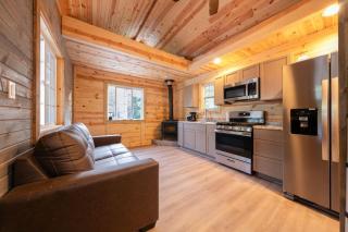 Cozy Cabin w Loft Grill Fire Pit - Gary - 1