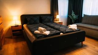 Lakeside Olti Apartment near Interlaken - 5