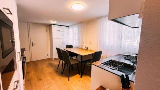 Lakeside Olti Apartment near Interlaken - 2