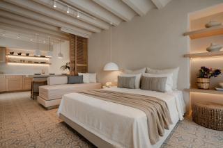Castellum Suites - Naxos Chora - 0