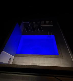 Theo luxury Napa villa - 2