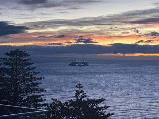 Cape View - Napier Holiday Home - Napier - 9