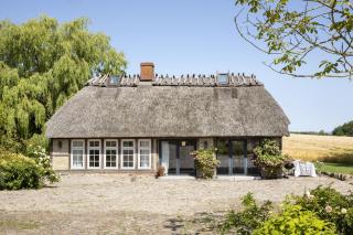 Urgemütliche Reetdachkate mit großem Kamin und Sauna - Pommerby - 9