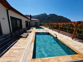 champagne villa - Eskiömerler - 2