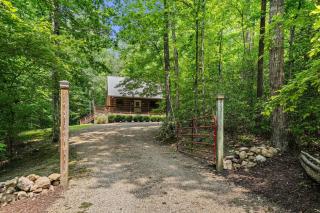 Mountain Laurel Cabin - Cosby - 5
