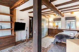 Ferienwohnung im preisgekrönten Denkmal - Gross-Umstadt - 4