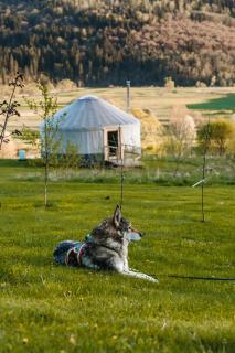 Mononoke -Jurty nad Sanem - Lutowiska - 0
