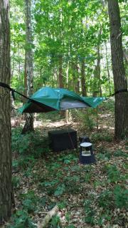 Baumzelt mitten im Wald bis 120kg - - 0