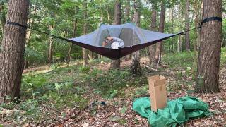 Baumzelt mitten im Wald bis 120kg - - 8