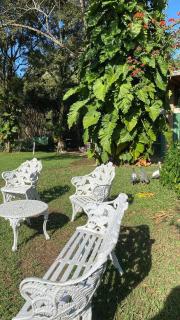 Fazenda Villino Pistilli - Taubaté - 8