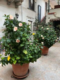 Bellini Space 3 - Catania - 9