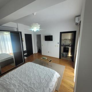 Garsoniera Spital Fundeni-Dragonul Rosu - Dobroeşti - 9