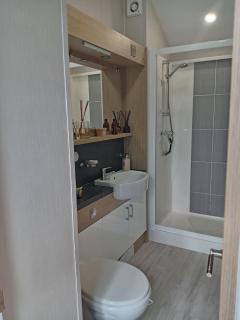 Newquay Bay Resort - Poppy's Lodge Retreat - Newquay - 8