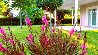 Seaside Boutique Villa Rosée - Beautiful Living - Litóchoron - 8