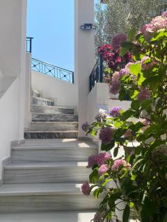 Vila Xhani - 1