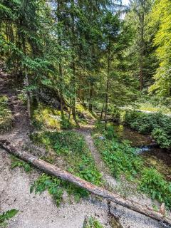 Rocky Meadow - place for camping - Pružina - 4